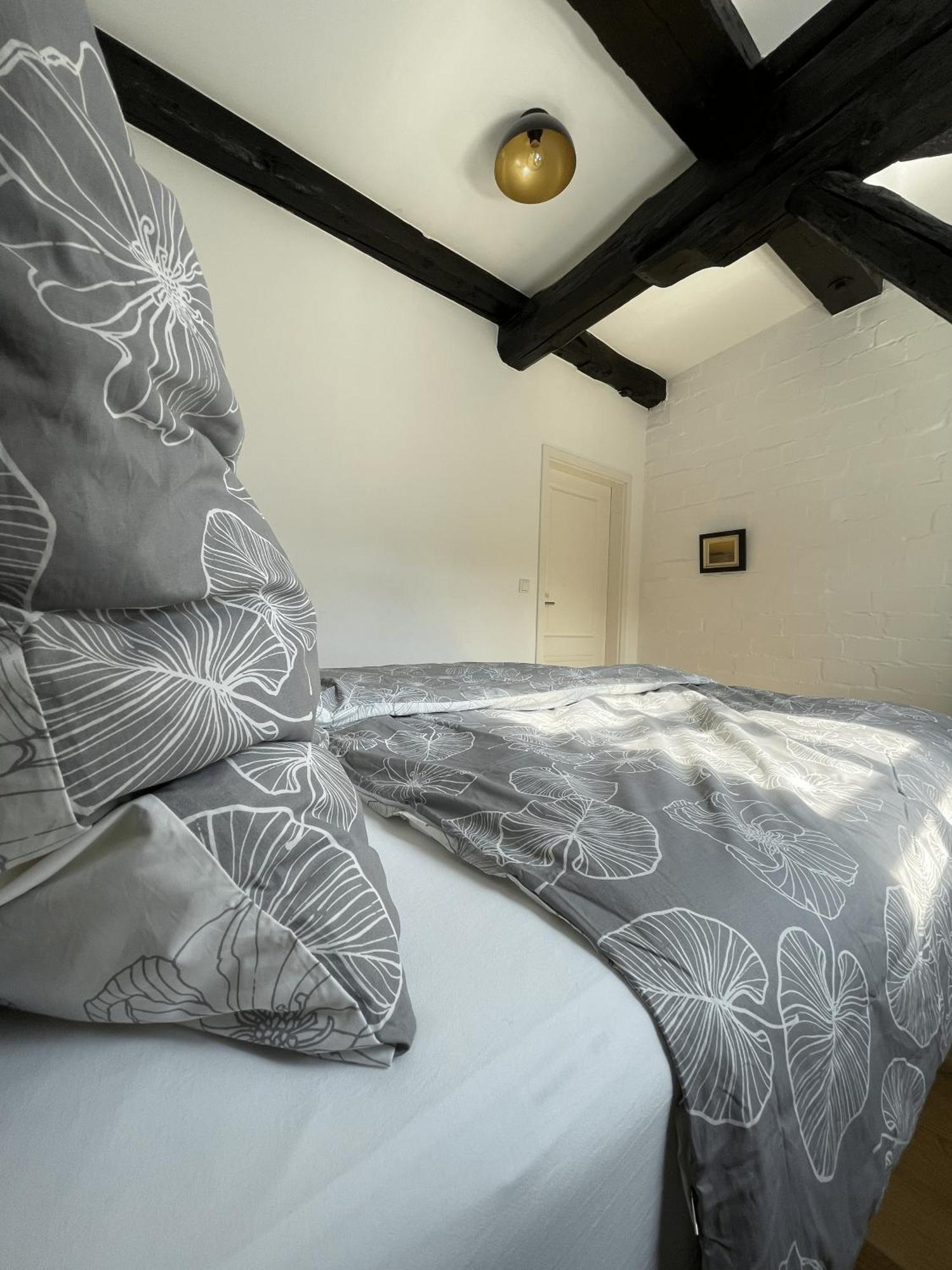Appartement Backsteinflair - Luenemitte à Lüneburg Extérieur photo